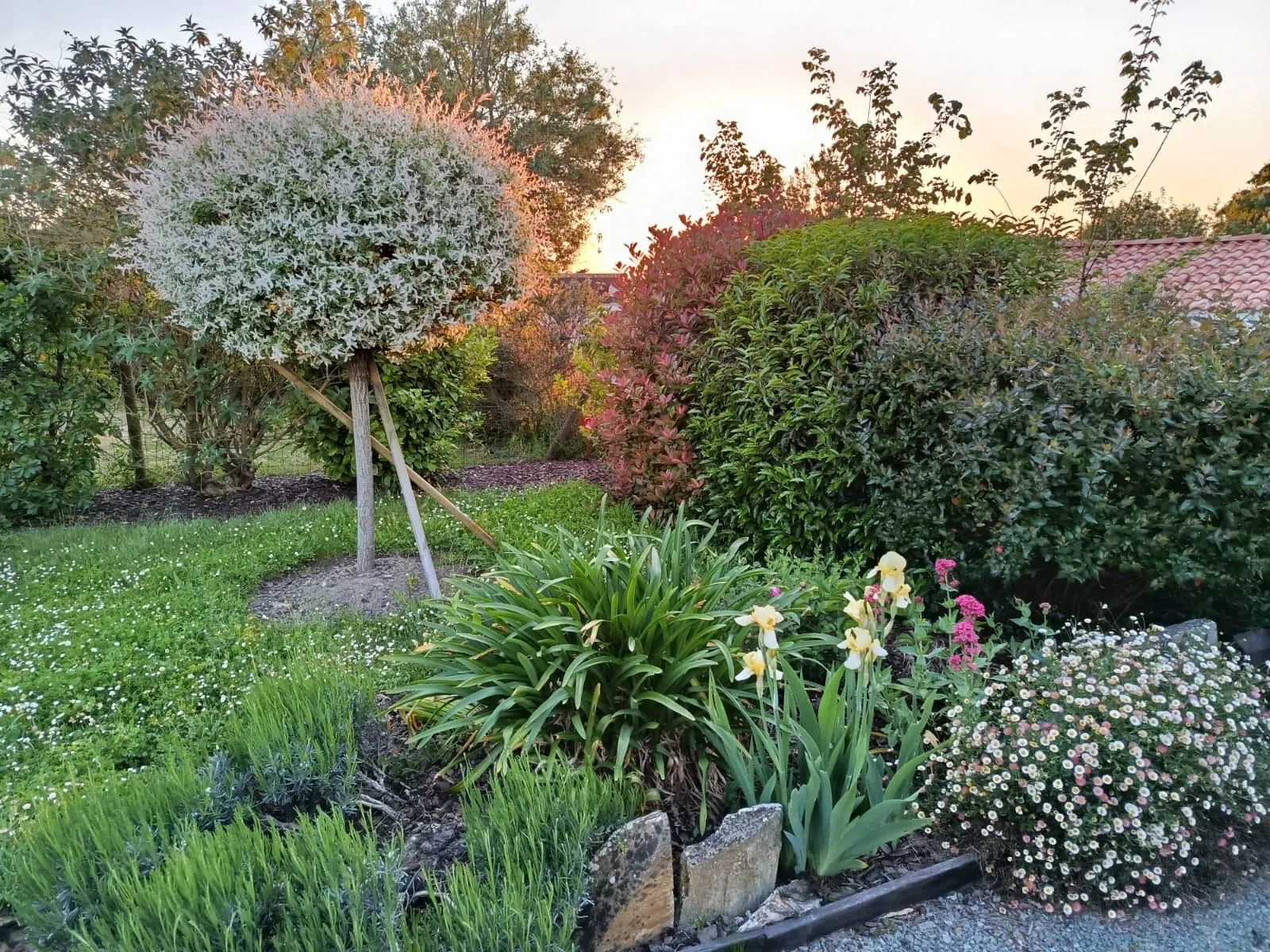 Entretien d'extérieurs Anjou Moreau Paysage