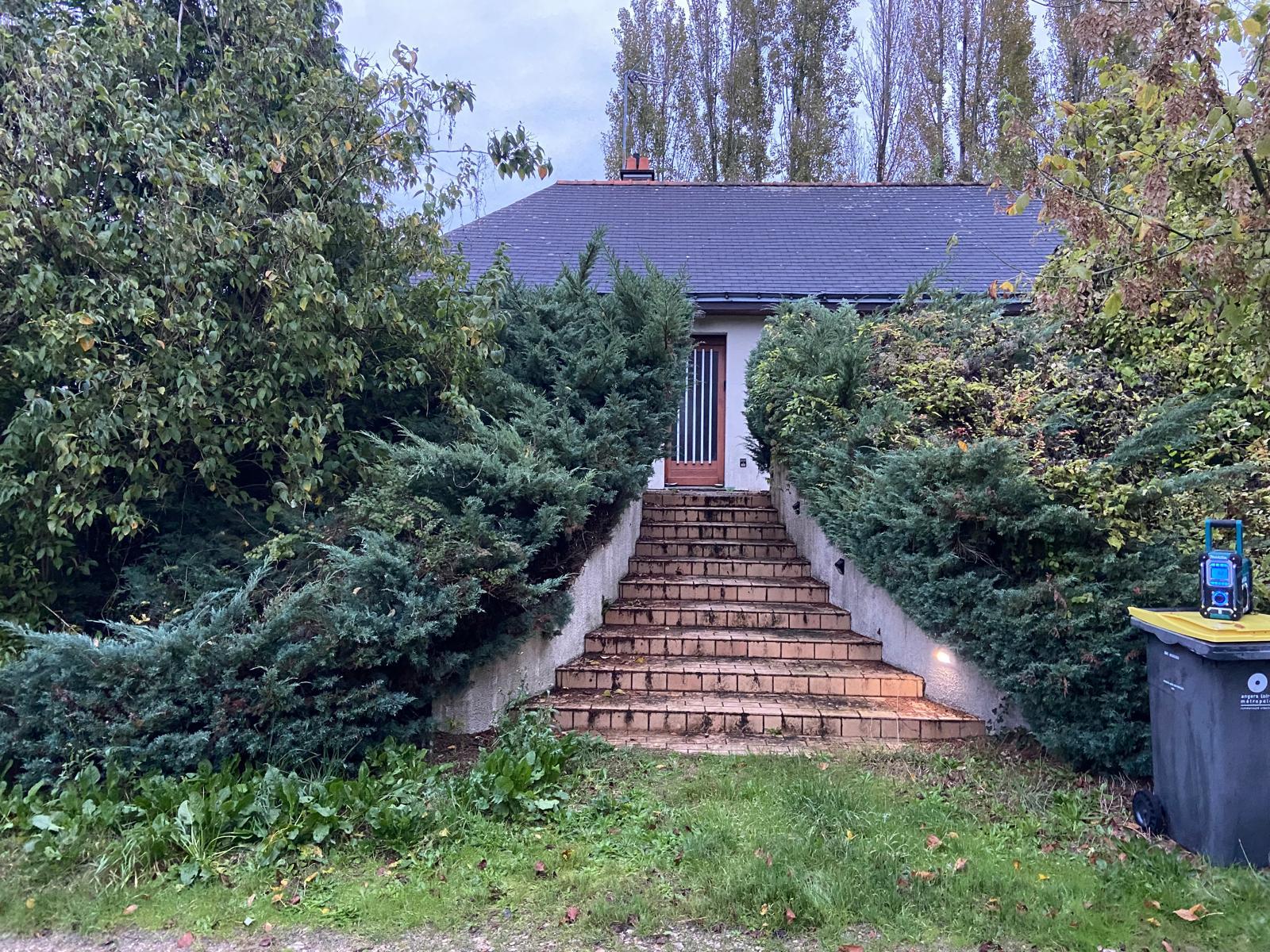 Espace vert avant entretien par Moreau Paysage en Anjou