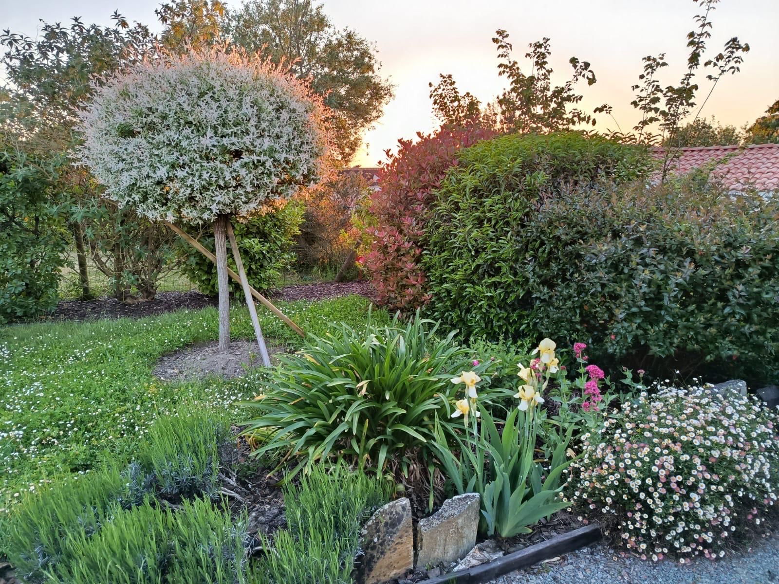Entretien d'extérieurs Anjou Moreau Paysage